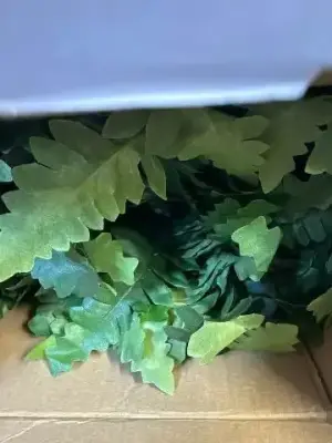 Faux Fern